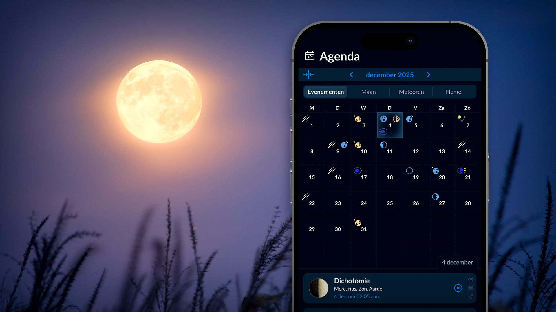 Calendar 2025